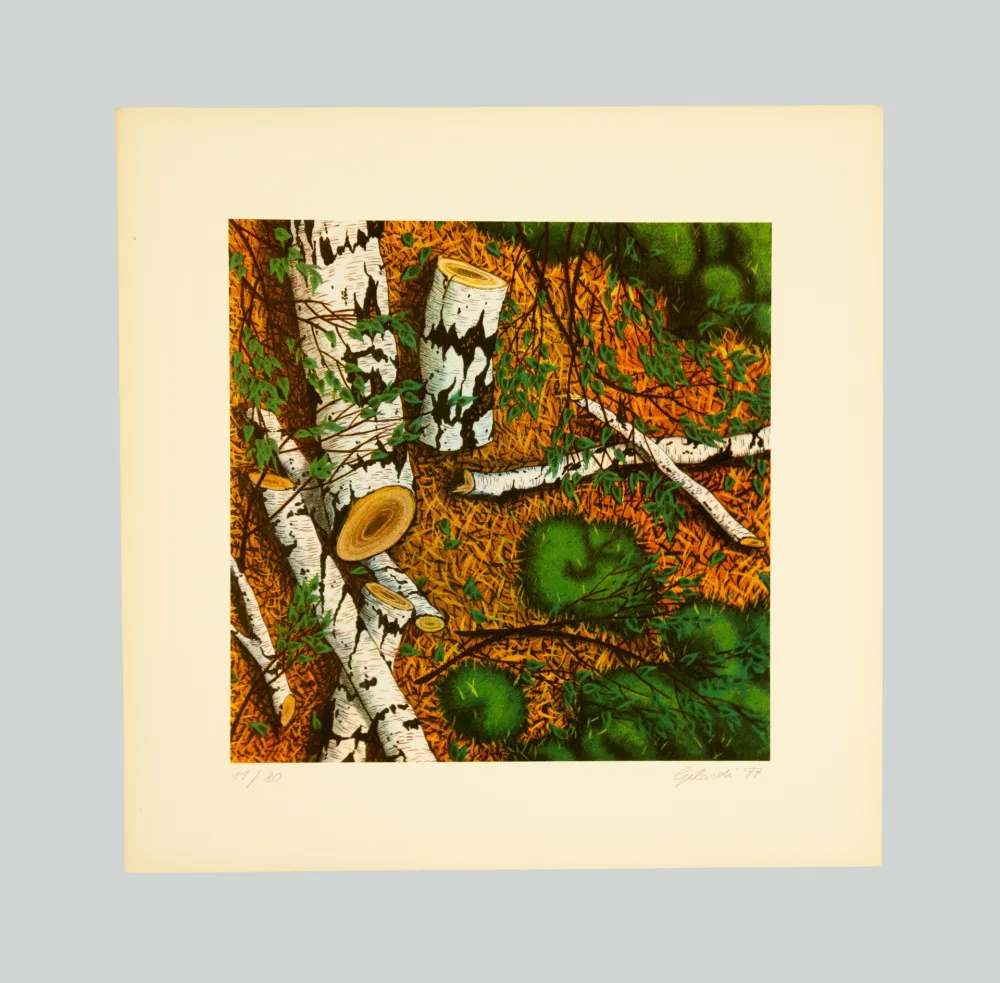 丝网印刷 Gilardi - Betulle