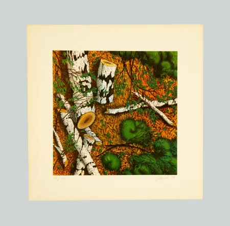 丝网印刷 Gilardi - Betulle