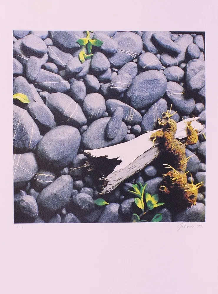 石版画 Gilardi - CARTELLA 11, EDIZIONE FUMAGALLI