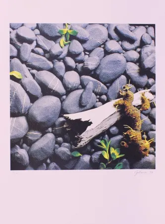 石版画 Gilardi - CARTELLA 11, EDIZIONE FUMAGALLI