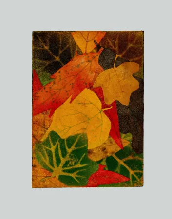 复数作品 Gilardi - Foglie cadute