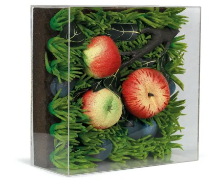 复数作品 Gilardi - Mele cadute