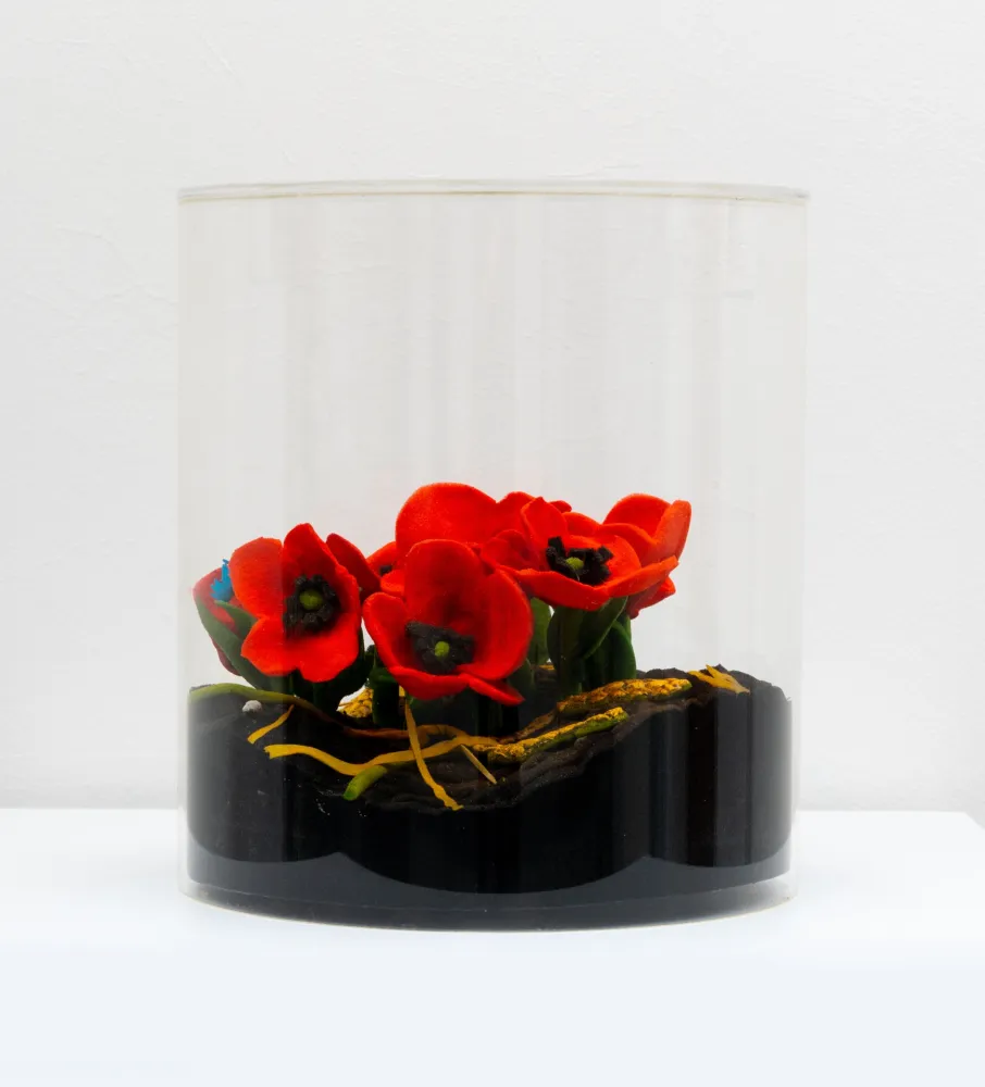 复数作品 Gilardi - Papaveri