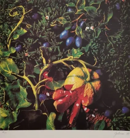 丝网印刷 Gilardi - Prugne con zucca