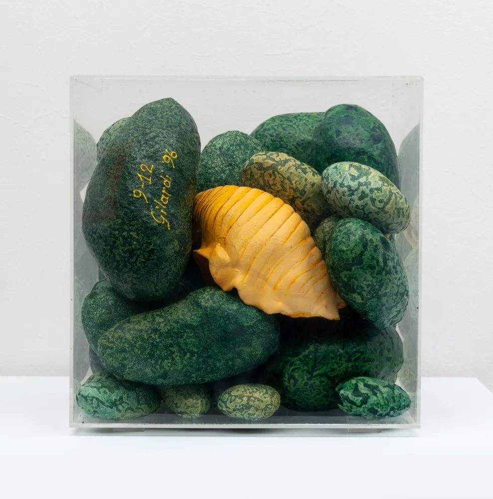 复数作品 Gilardi - Sassi e conchiglia