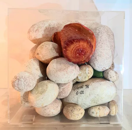 复数作品 Gilardi - Sassi e conchiglia