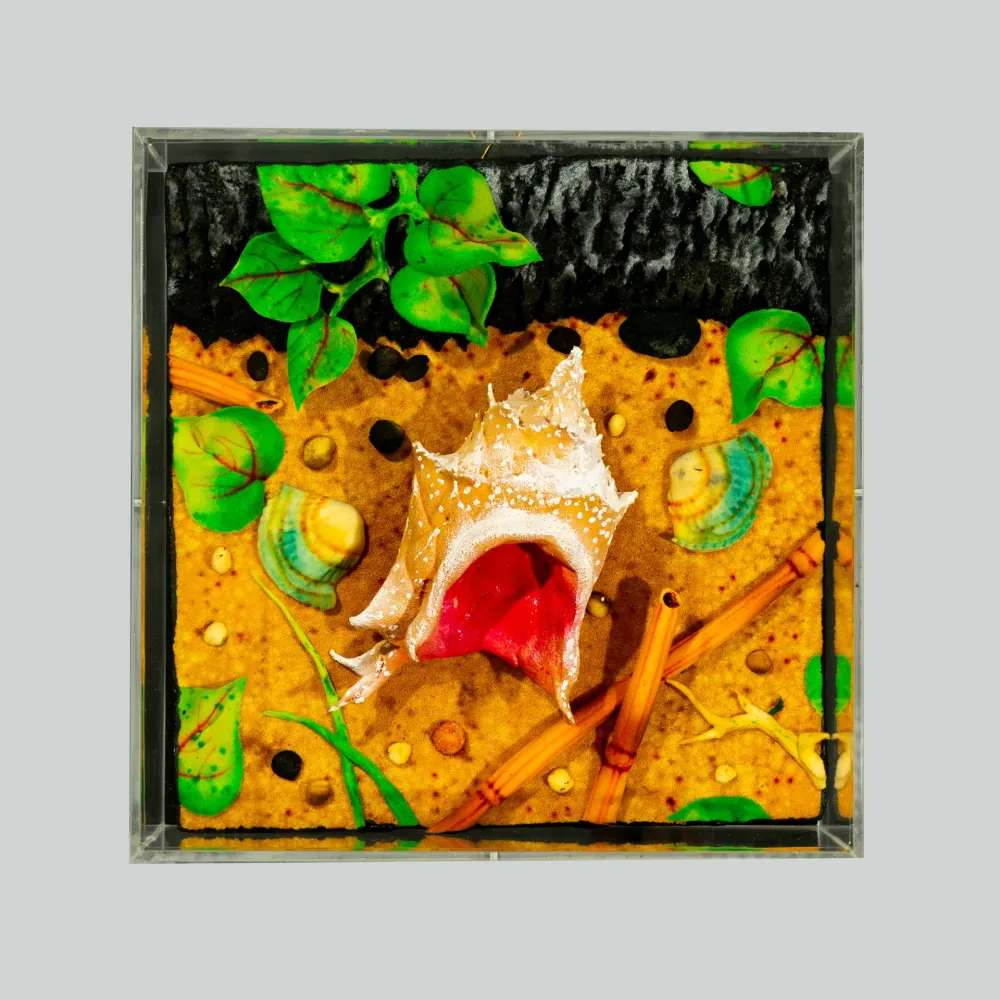 无技术 Gilardi - Spiaggia vulcanica