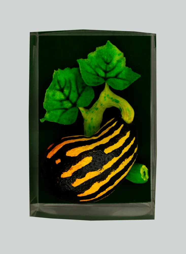 复数作品 Gilardi - Zucchetta