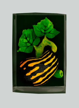 复数作品 Gilardi - Zucchetta