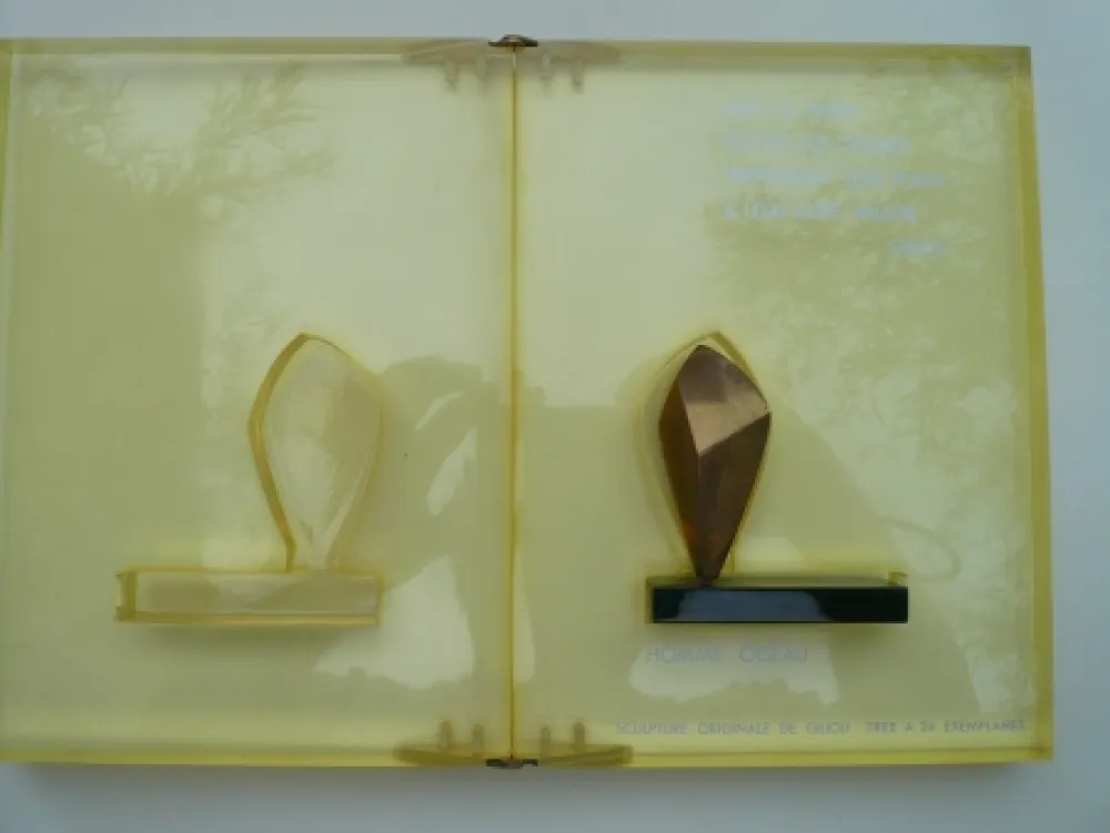 无技术 Gilioli - Homme oiseau