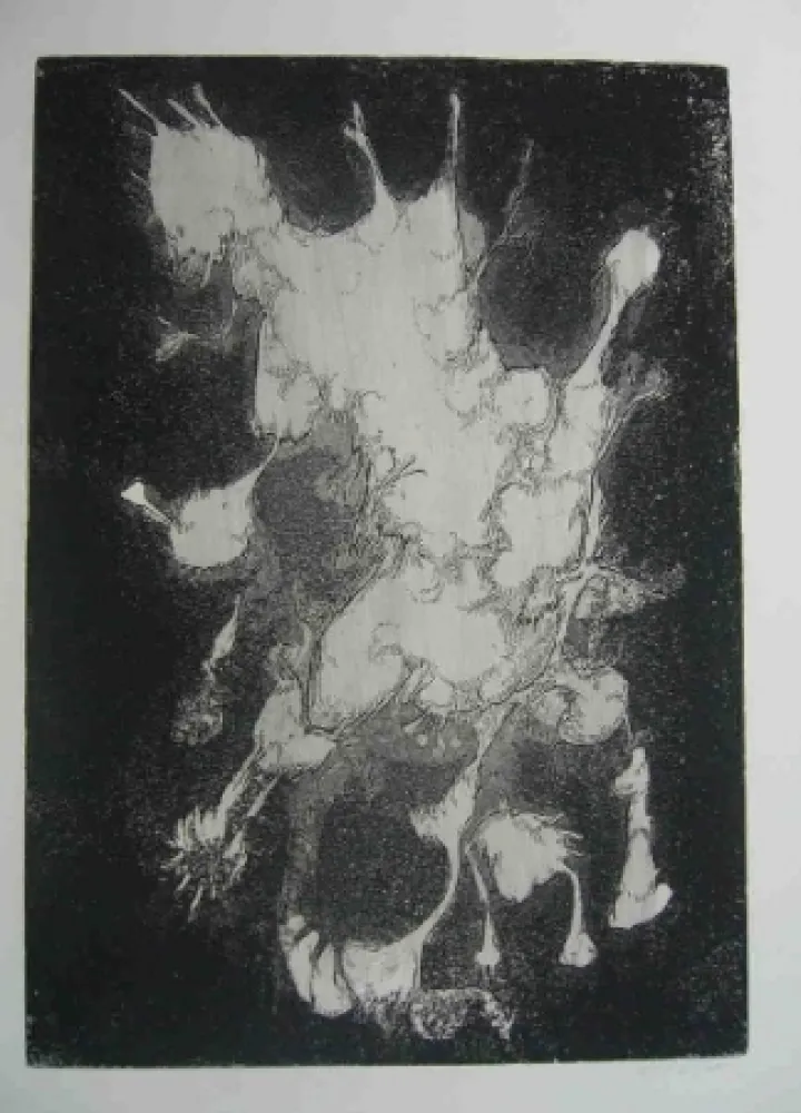 蚀刻版画 Gillet - Nymphe des rats