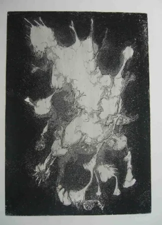 蚀刻版画 Gillet - Nymphe des rats