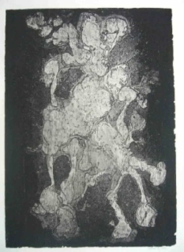 蚀刻版画 Gillet - Nymphe des rats