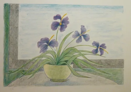 石版画 Girona - BOL I ILLIRS