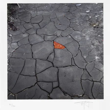 数码版画 Goldsworthy - Red Leaves on Cracked earth