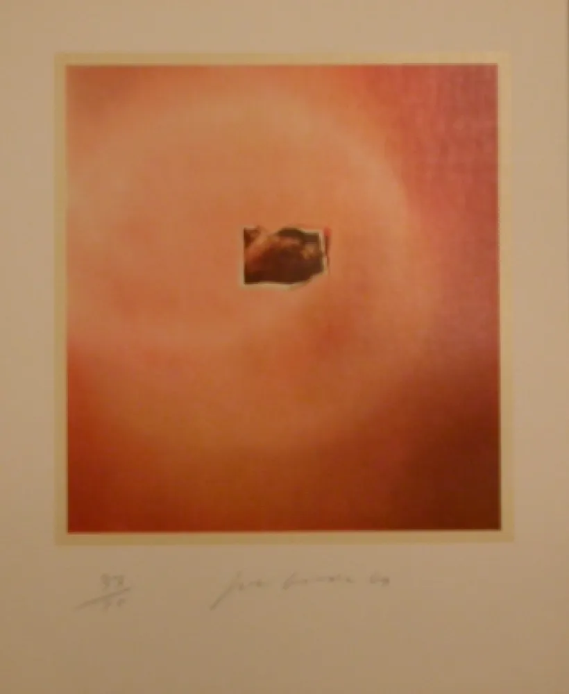 石版画 Goode - Six Lithographs (creased photo on orange background)