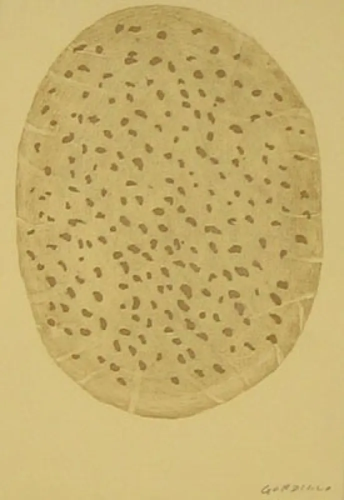 蚀刻版画 Gordillo - S/T