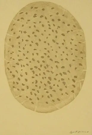 蚀刻版画 Gordillo - S/T