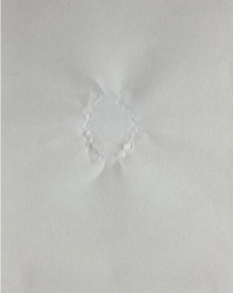 复数作品 Gordon - Signature