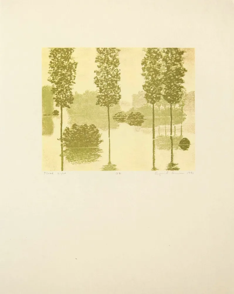凸版印刷 Gornick - Flood Light, from Art Pro-Choice II