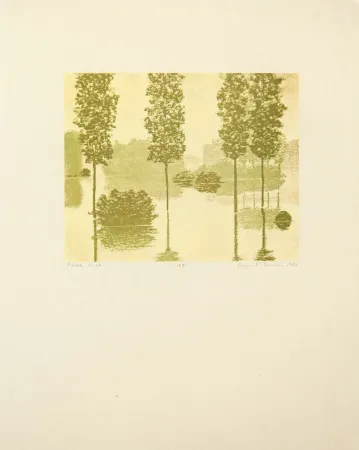 凸版印刷 Gornick - Flood Light, from Art Pro-Choice II