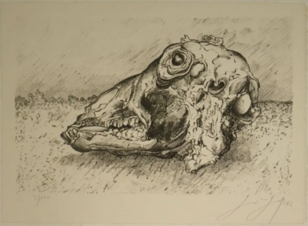 石版画 Grass - Schafskopf.