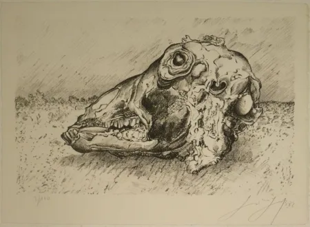 石版画 Grass - Schafskopf.