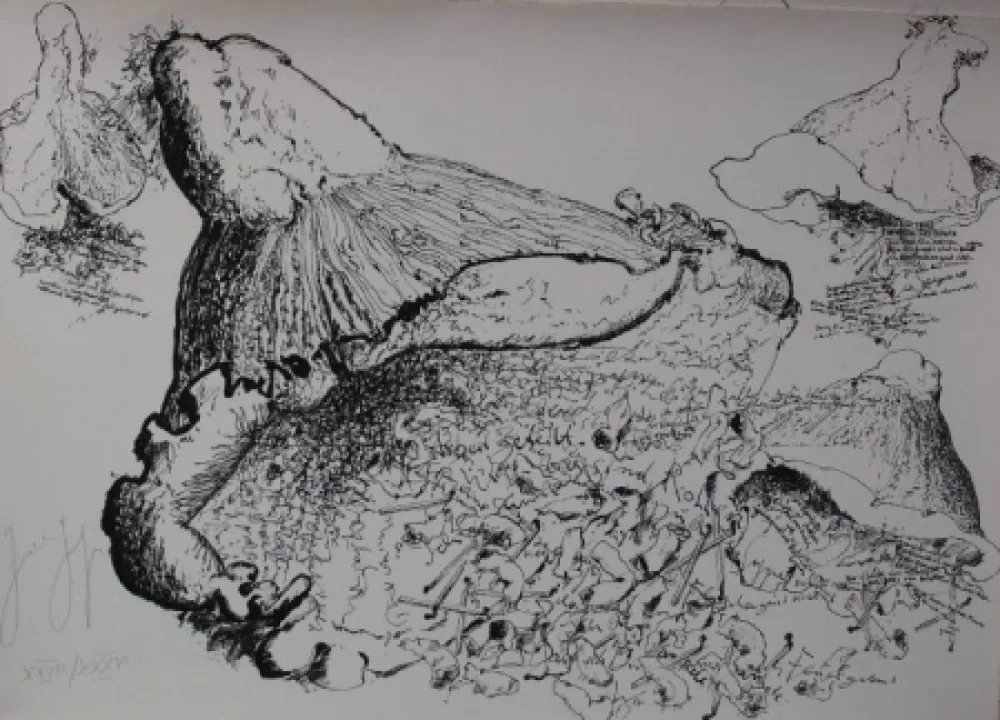 石版画 Grass - Senza titolo