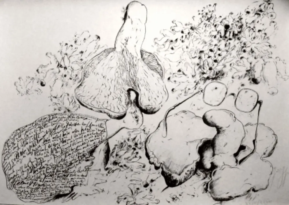 石版画 Grass - Senza titolo