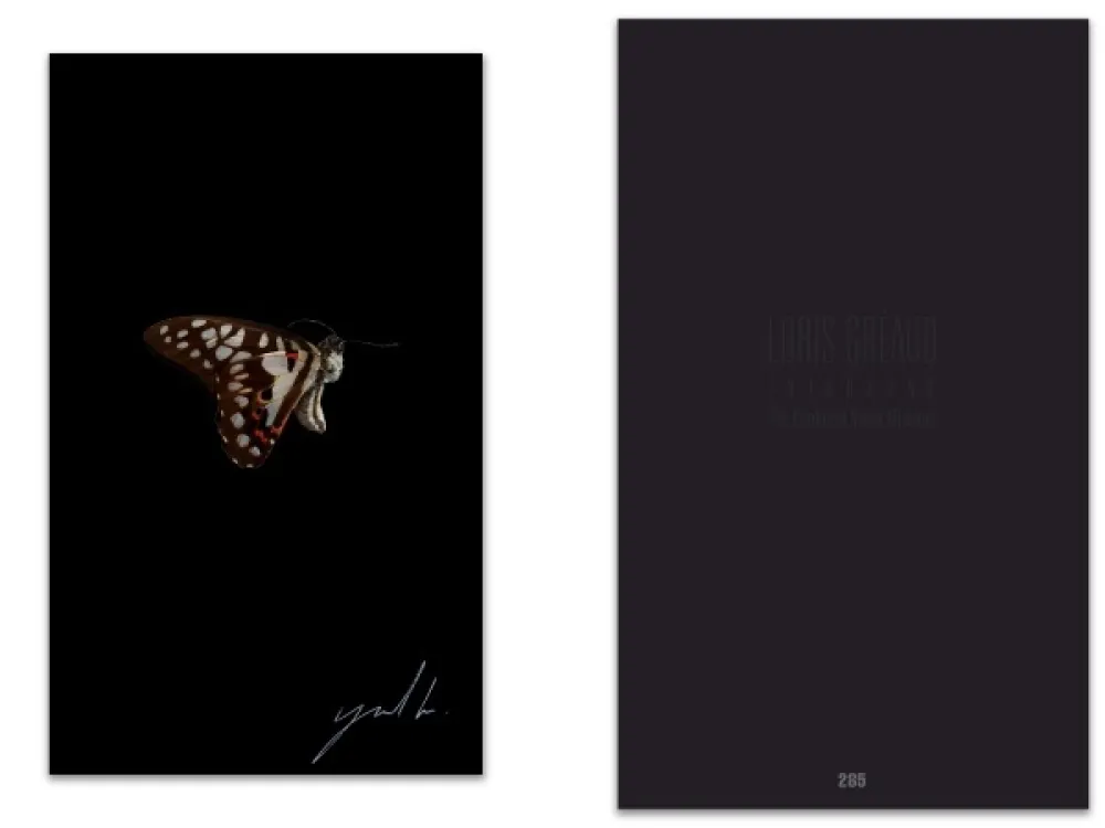 插图书 Greaud - L'art en écrit