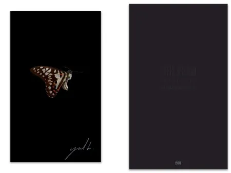 插图书 Greaud - L'art en écrit