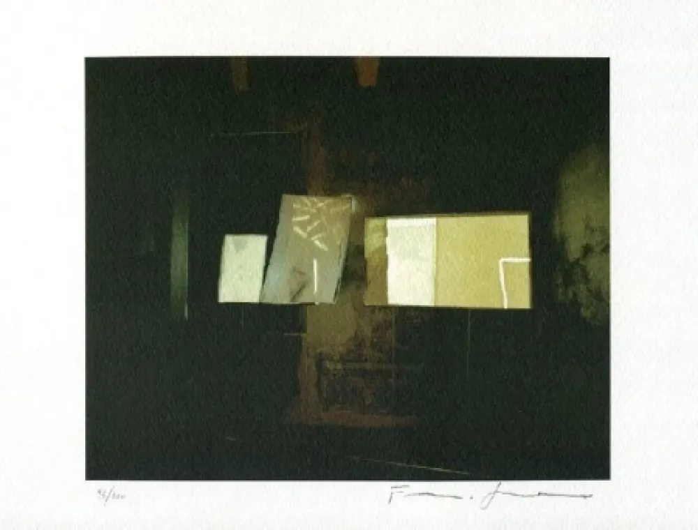 石版画 Guerzoni - Pagine Furiose