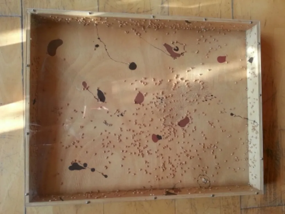 无技术 Guinovart - Blat i coses 8