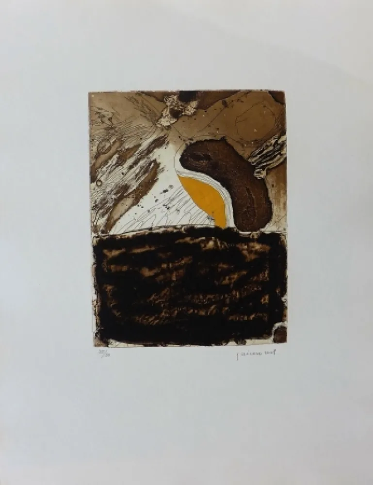 版画 Guinovart - L ultime ocre