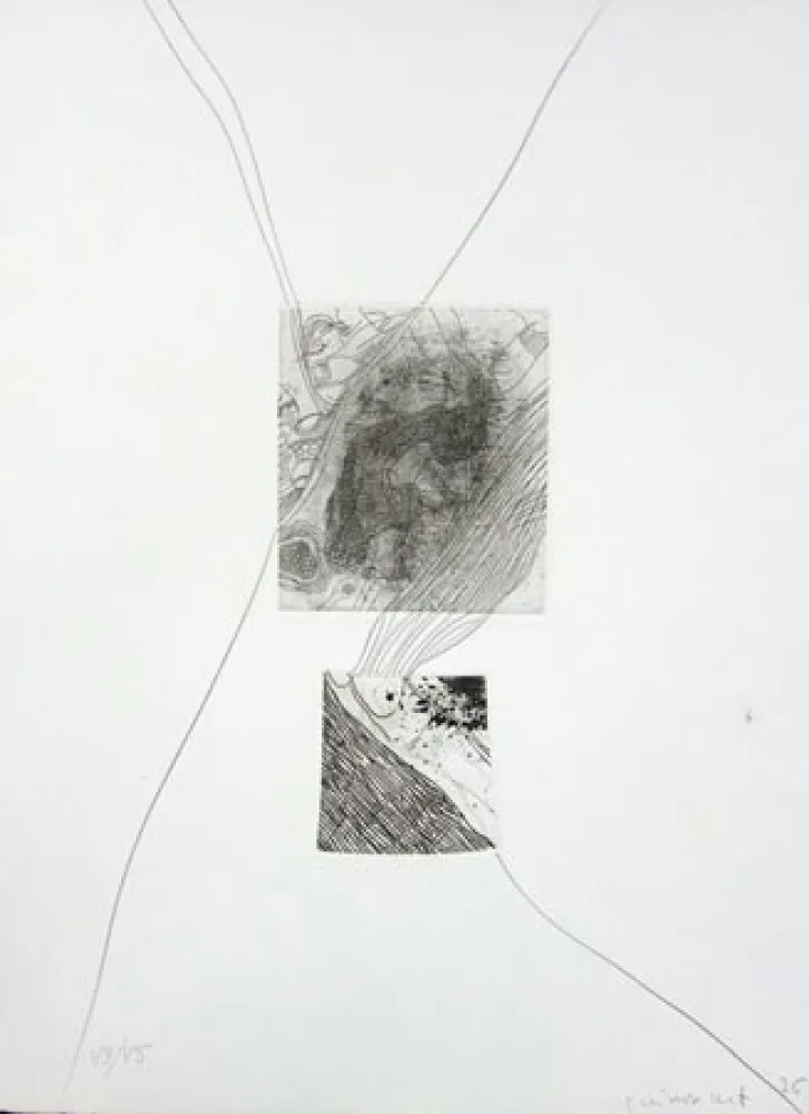 蚀刻版画 Guinovart - S/T