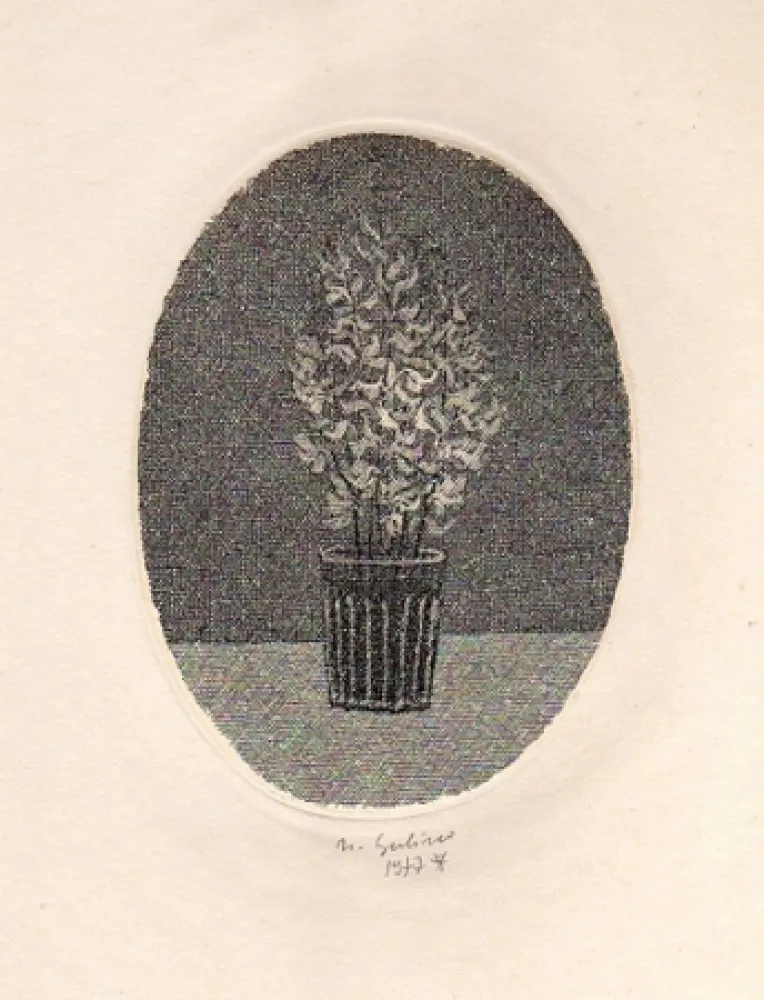 插图书 Gulino - Canti