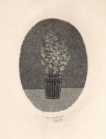 插图书 Gulino - Canti