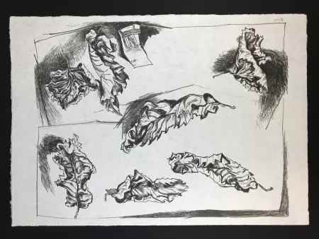 石版画 Guttuso - Foglie