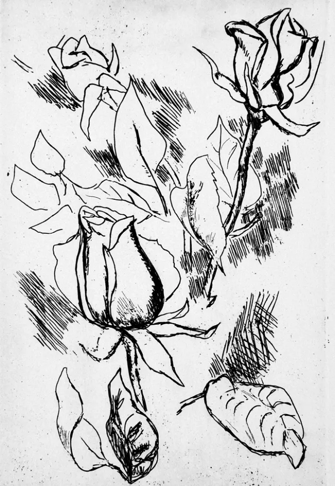 插图书 Guttuso - Gli anni delle immagini perdute