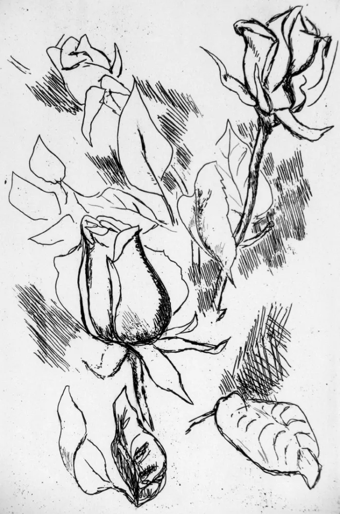 蚀刻版画 Guttuso - Rosa