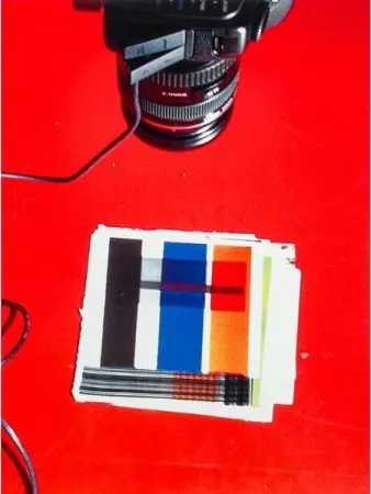 复数作品 Guyton - IMG_1919