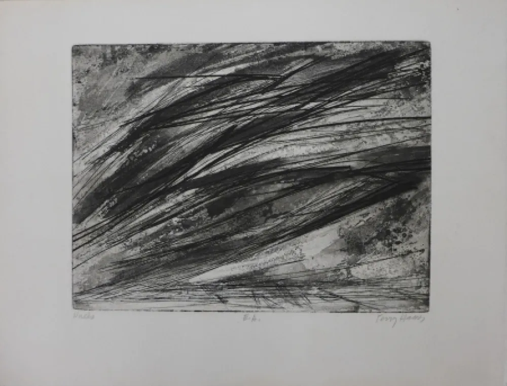 蚀刻版画 Haass - Composition