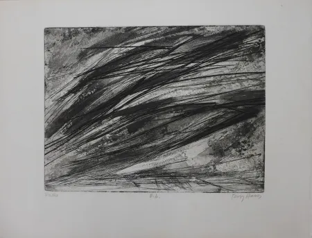 蚀刻版画 Haass - Composition