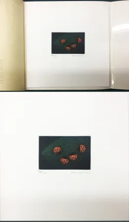 美柔汀铜版画 Hamaguchi - Two Pairs (Ladybirds). signed. with the original book (1976)