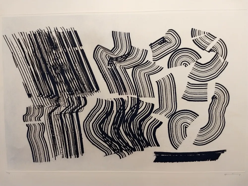 蚀刻版画 Hartung - Aguafuertes