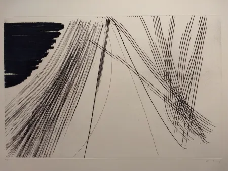 蚀刻版画 Hartung - Aguafuertes