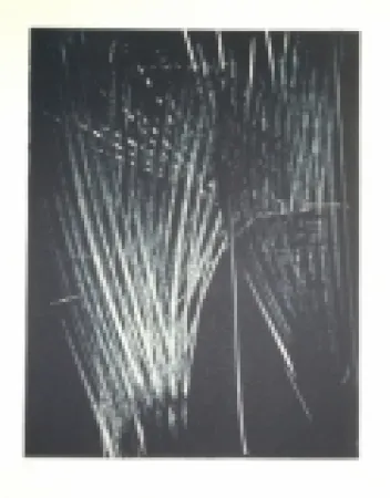 石版画 Hartung - AL 5