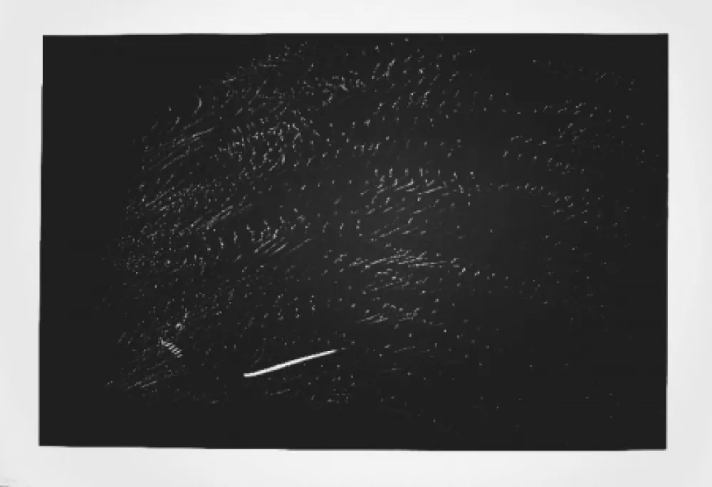 石版画 Hartung - Farandole 15