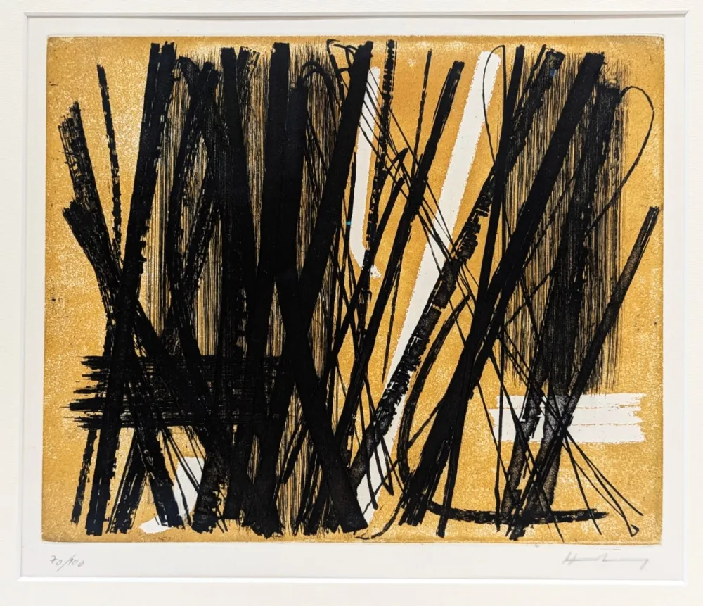 蚀刻飞尘法 Hartung - G5