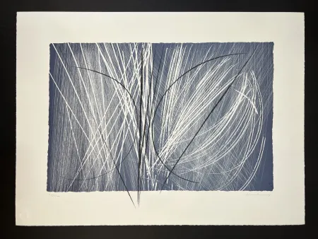 复数作品 Hartung - L 1971-2 